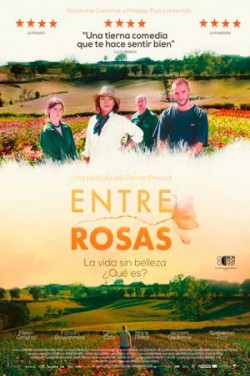 Película Entre rosas en Cantones Cines de A Coruña